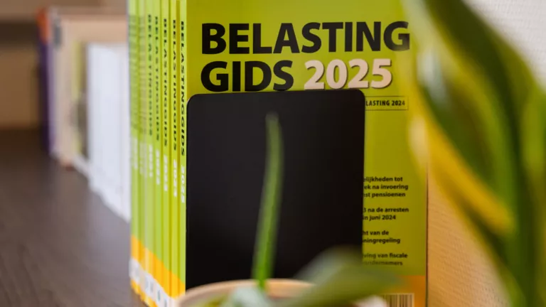 Belastingadvies
